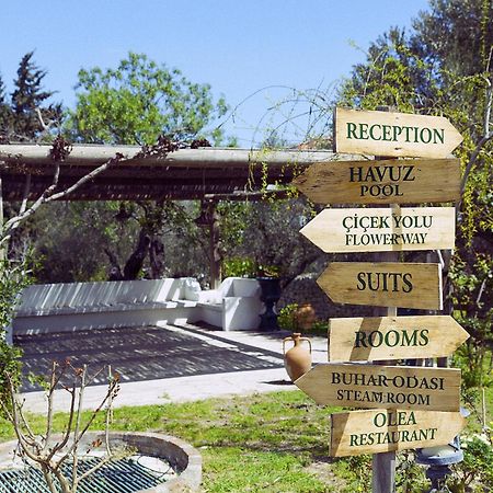 Olive Farm Of Datca Guesthouse (Adults Only) Exterior foto