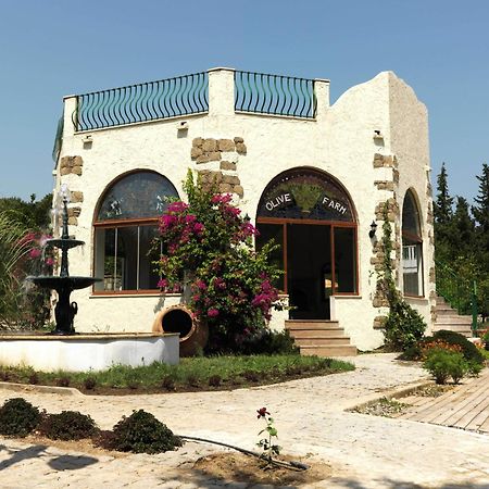 Olive Farm Of Datca Guesthouse (Adults Only) Exterior foto