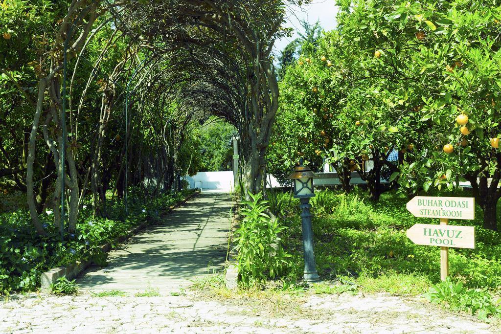 Olive Farm Of Datca Guesthouse (Adults Only) Exterior foto