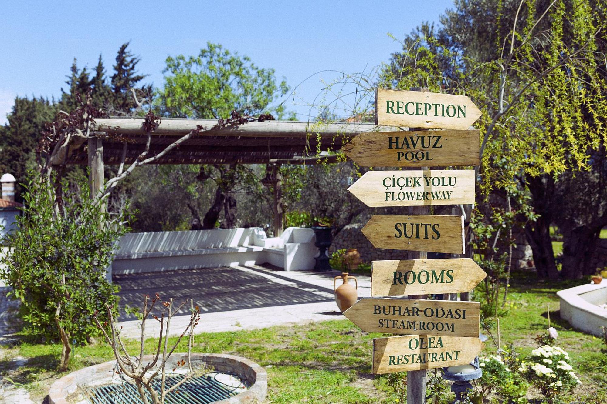 Olive Farm Of Datca Guesthouse (Adults Only) Exterior foto