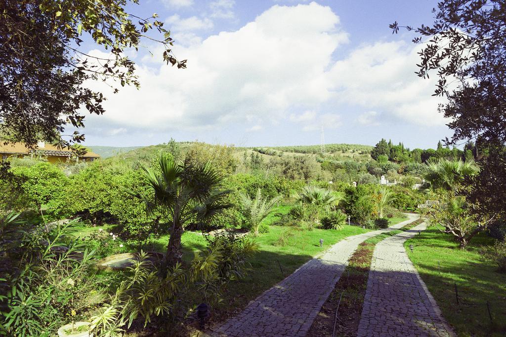 Olive Farm Of Datca Guesthouse (Adults Only) Exterior foto