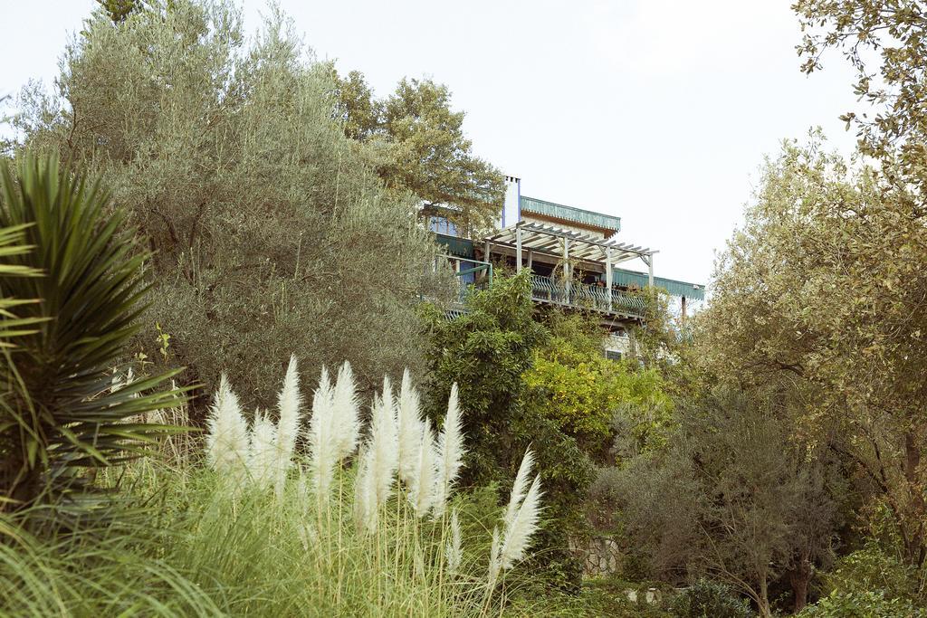 Olive Farm Of Datca Guesthouse (Adults Only) Exterior foto