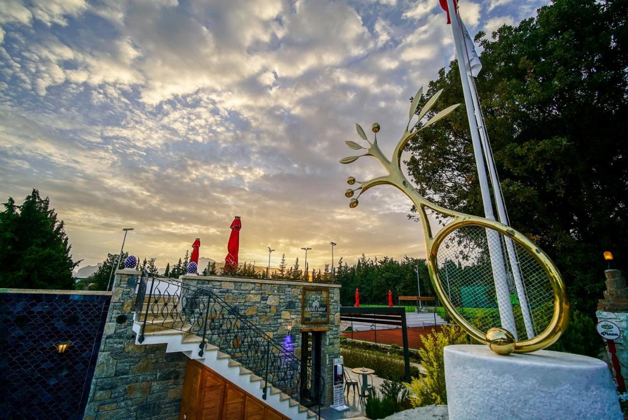 Olive Farm Of Datca Guesthouse (Adults Only) Exterior foto