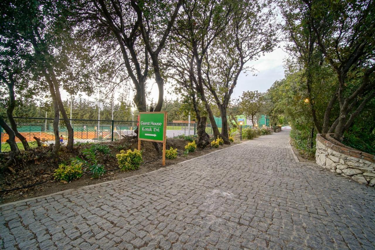 Olive Farm Of Datca Guesthouse (Adults Only) Exterior foto