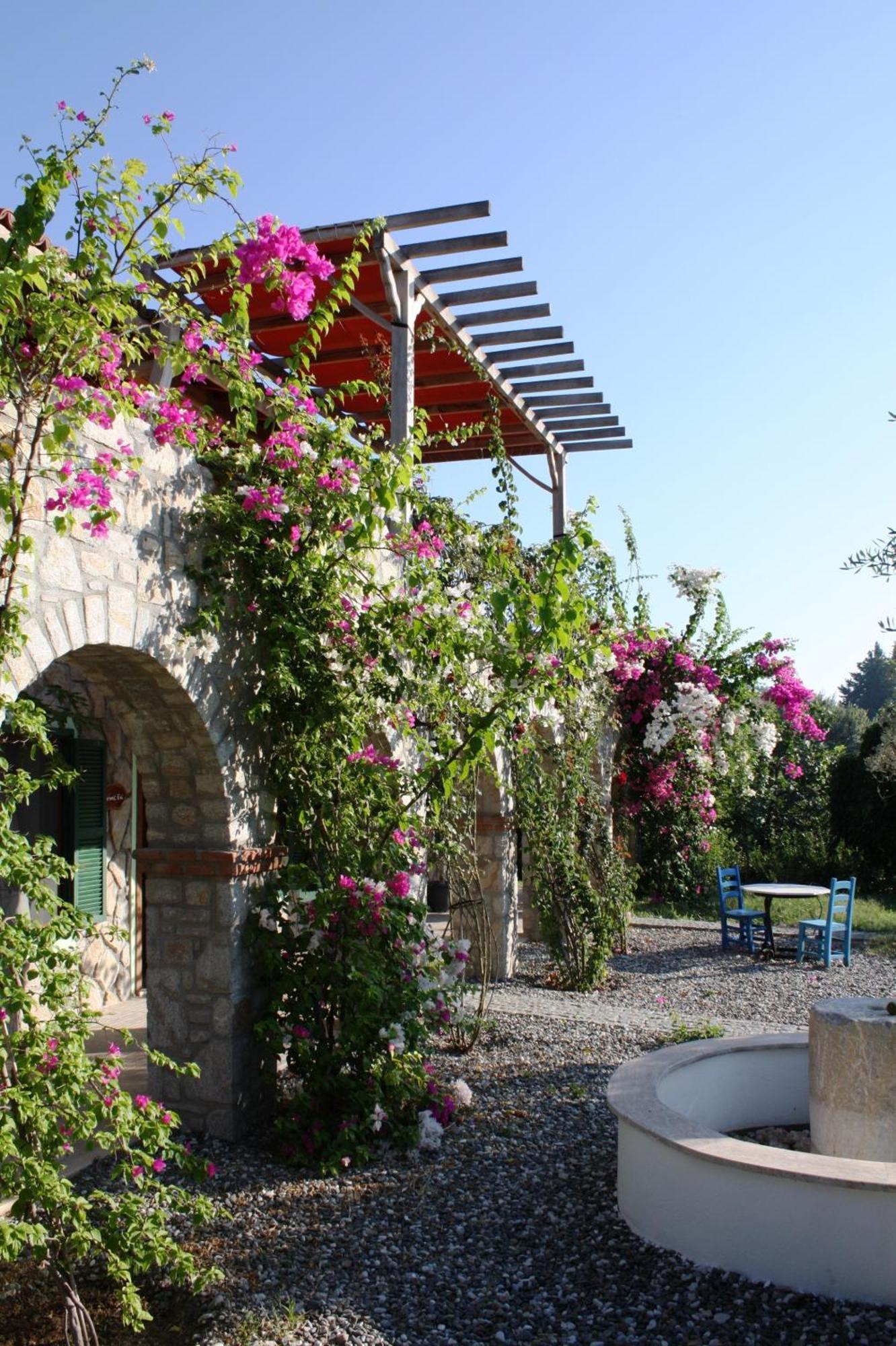 Olive Farm Of Datca Guesthouse (Adults Only) Exterior foto