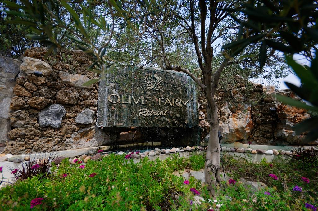 Olive Farm Of Datca Guesthouse (Adults Only) Exterior foto
