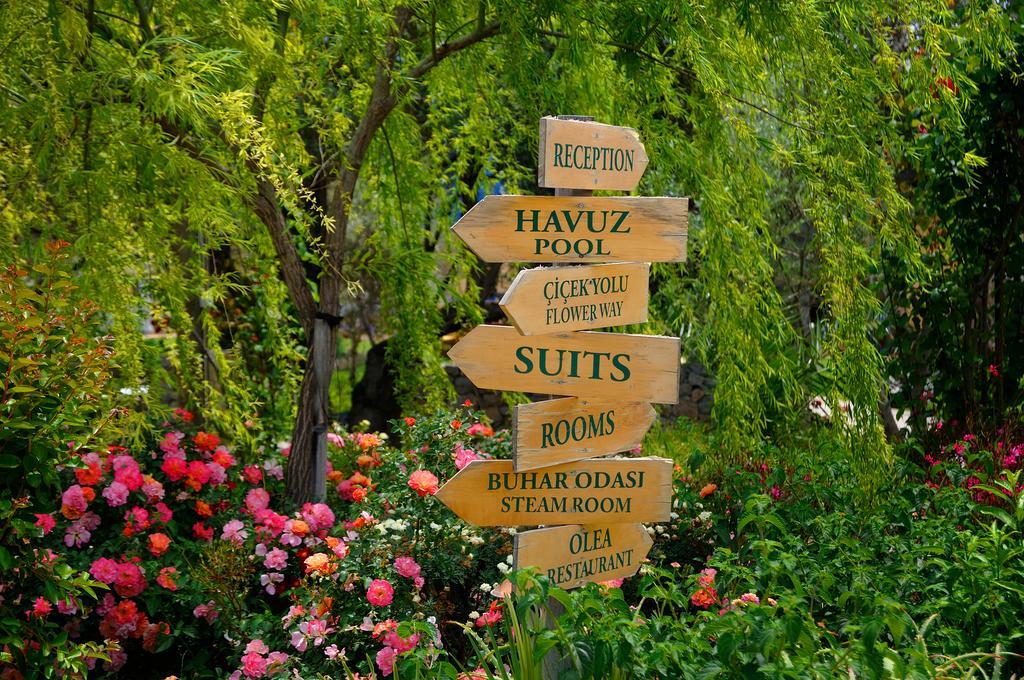 Olive Farm Of Datca Guesthouse (Adults Only) Exterior foto