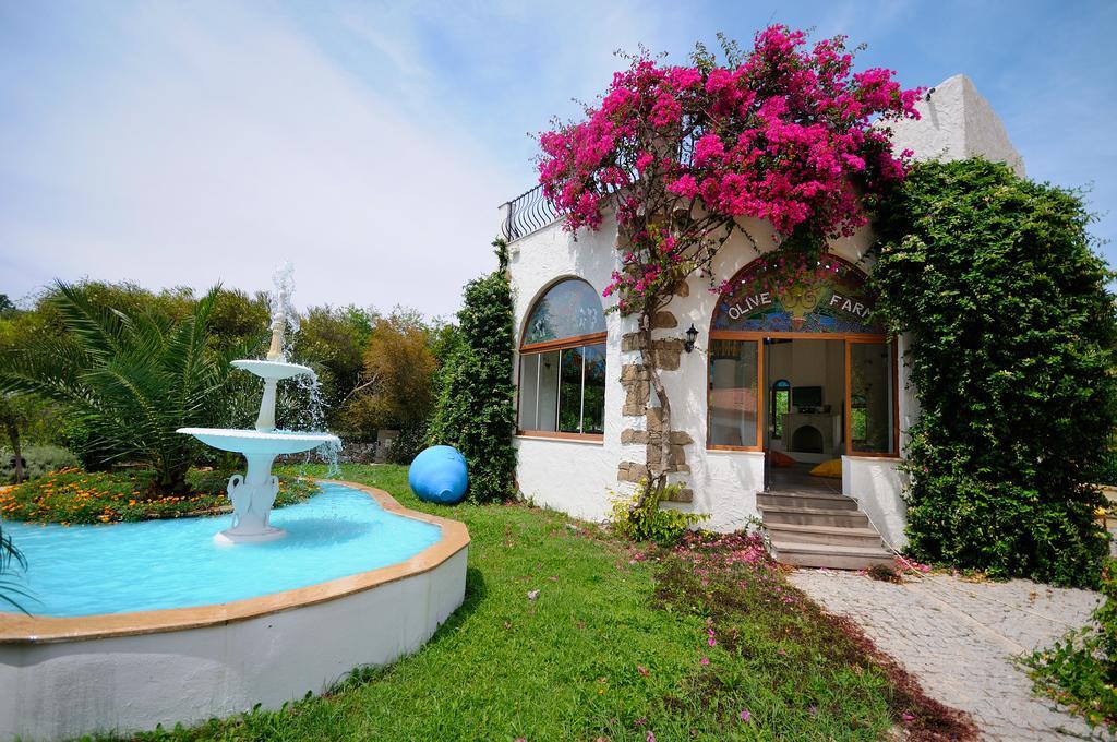 Olive Farm Of Datca Guesthouse (Adults Only) Exterior foto