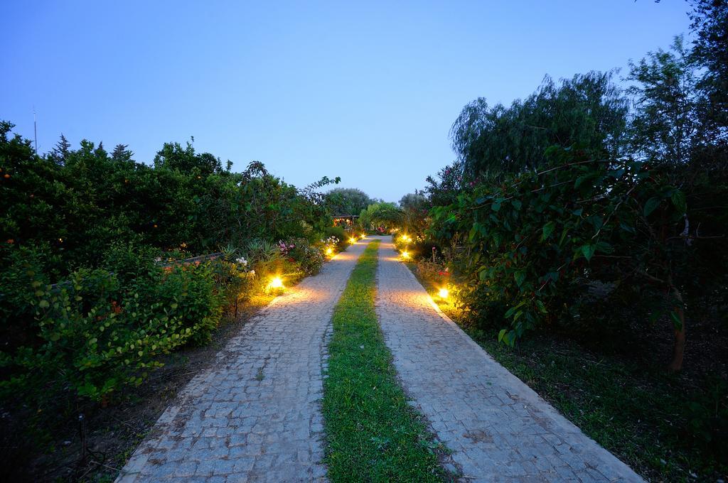 Olive Farm Of Datca Guesthouse (Adults Only) Exterior foto