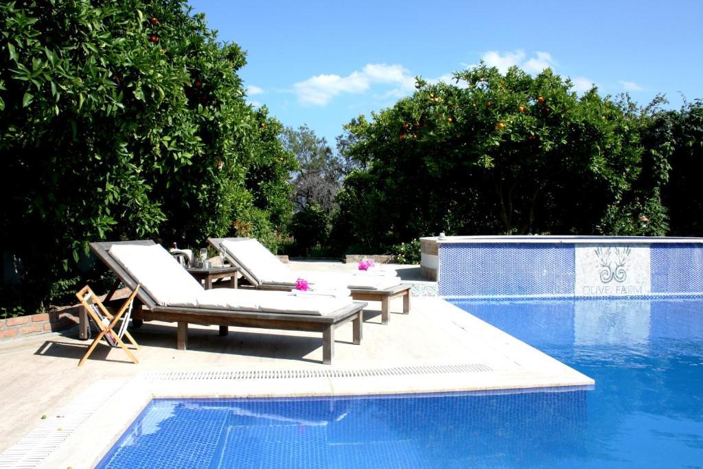 Olive Farm Of Datca Guesthouse (Adults Only) Exterior foto