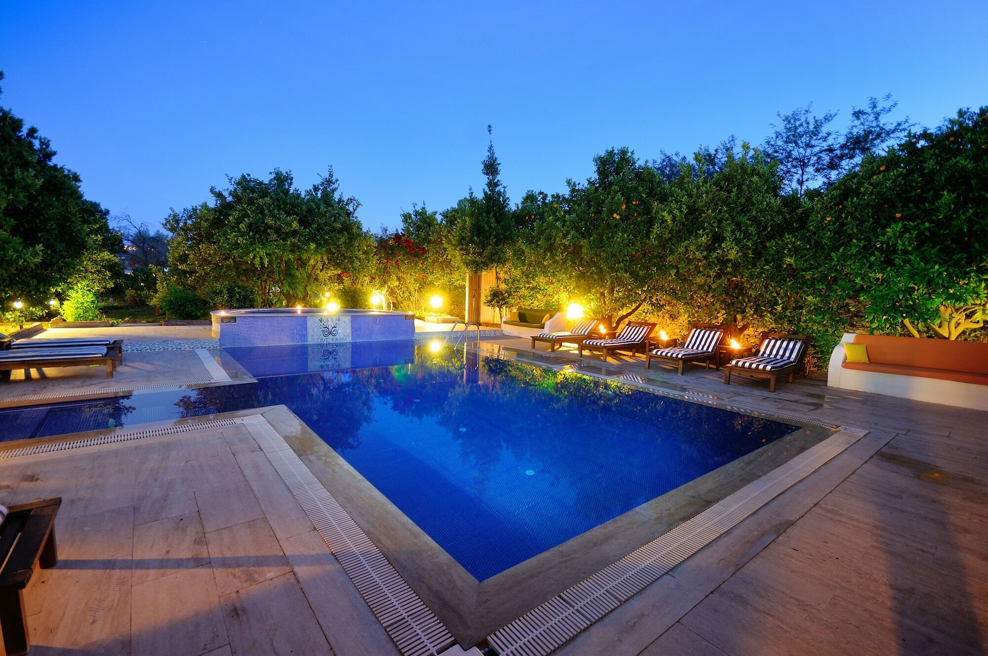 Olive Farm Of Datca Guesthouse (Adults Only) Exterior foto